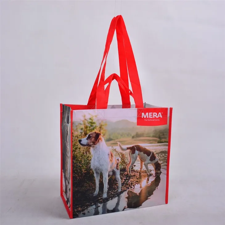 निष्पक्ष व्यापार पुनर्नवीनीकरण शॉपिंग बैग