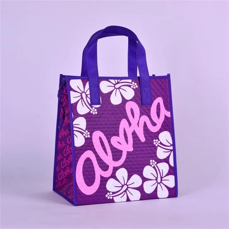 इंसुलेटेड टोट लंच बैग