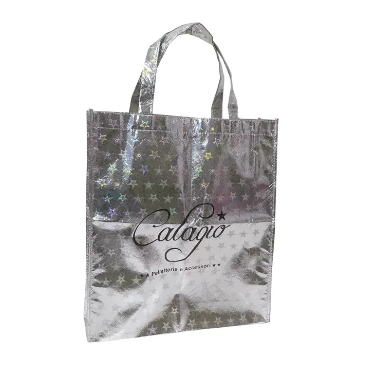 लैमिनेटेड गैर बुना पॉलीप्रोपाइलीन बैग