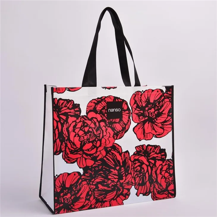 गैर बुना मुद्रित कैरी बैग