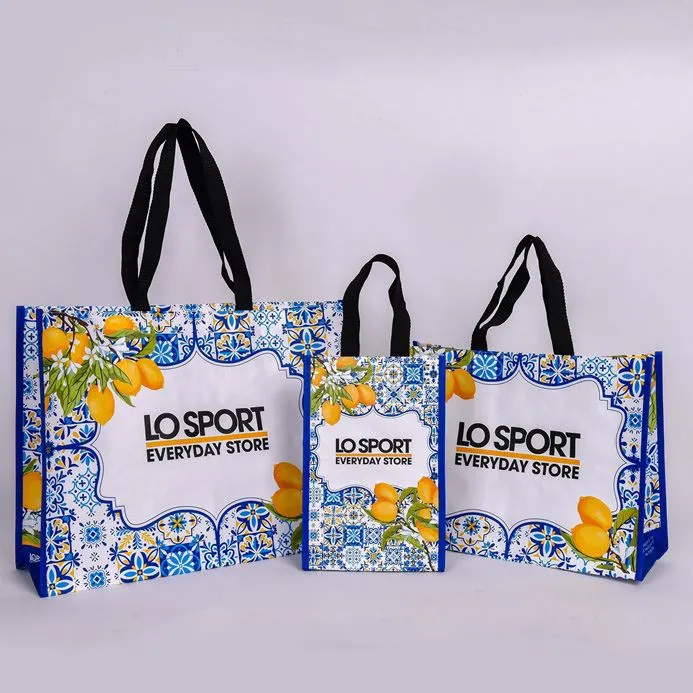 पीपी बुना पैकेजिंग बैग