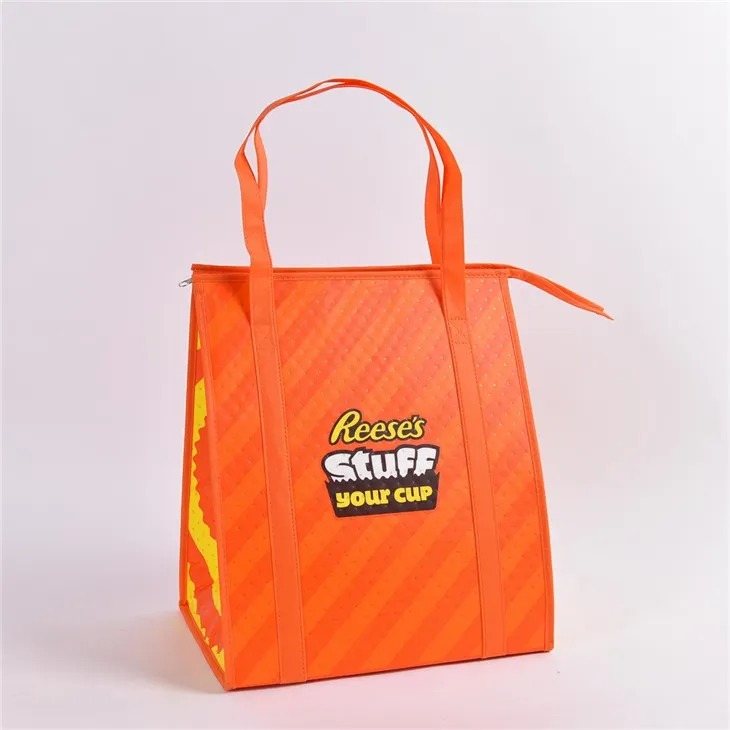 प्रीमियम थर्मल कूलर बैग